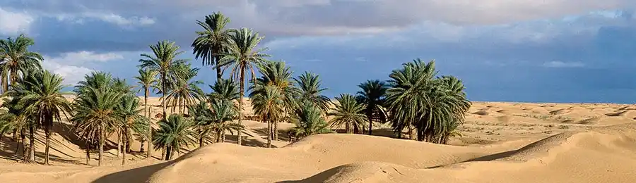 دوز