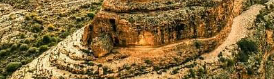 أم العرايس