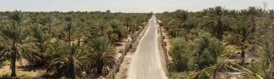 رجيم معتوق