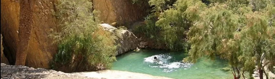 تمغزة